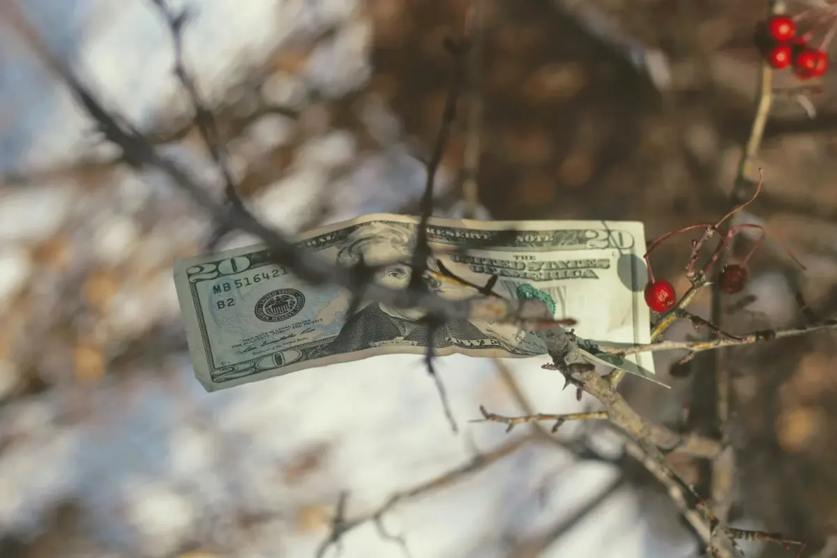 Money tree