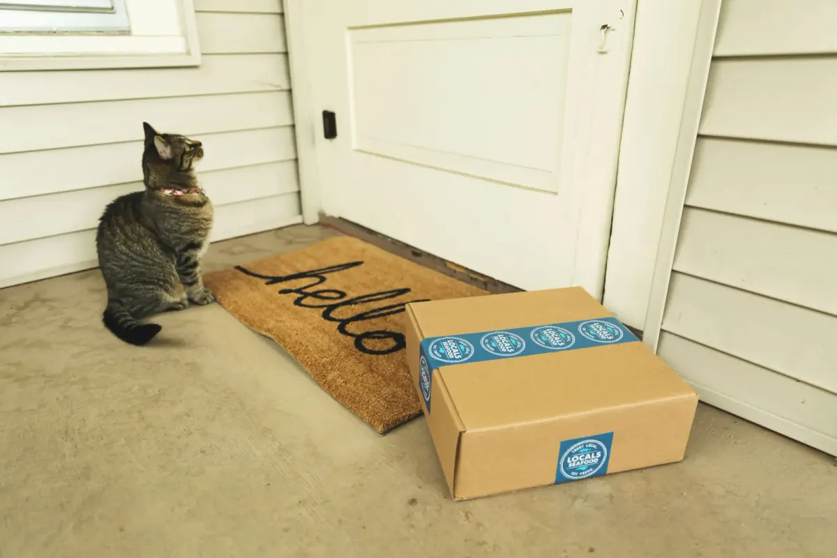 Cat staring at a door