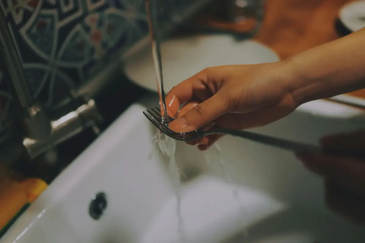 Task of washing the dishes
