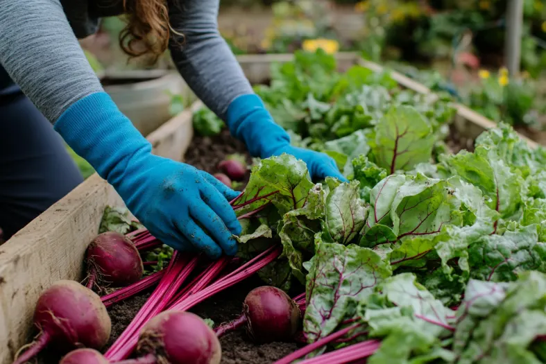 Girl works in the farmer market