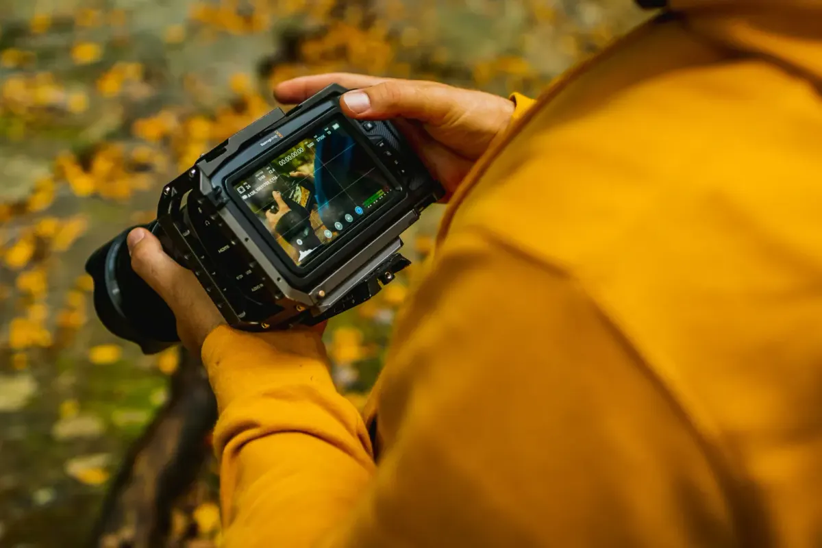 Nature Photographer