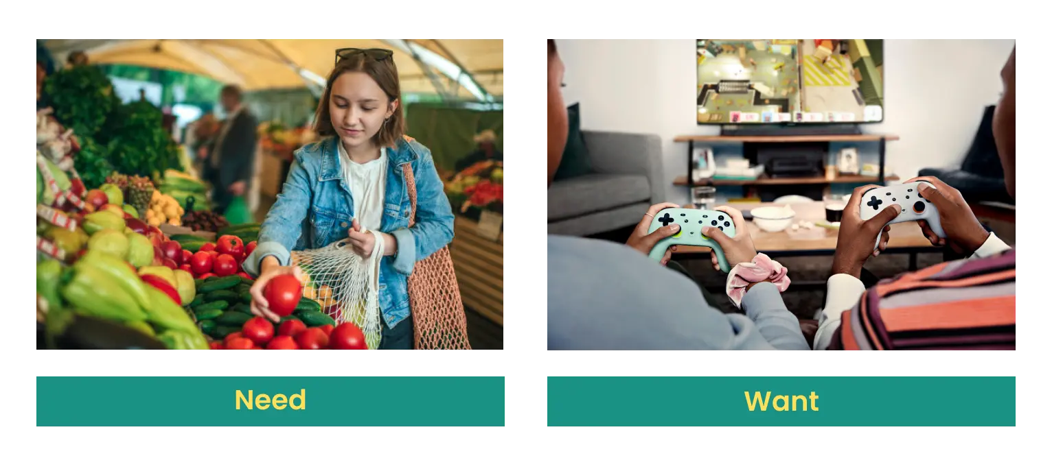 Spending on needs vs. spending on wants